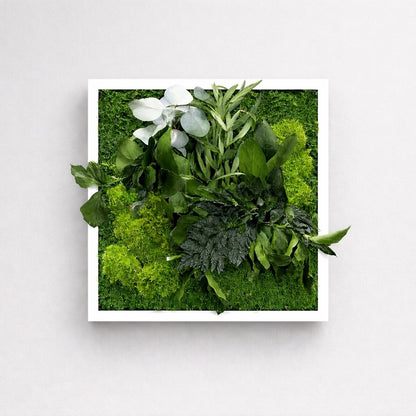Tableau végétal naturel stabilisé 