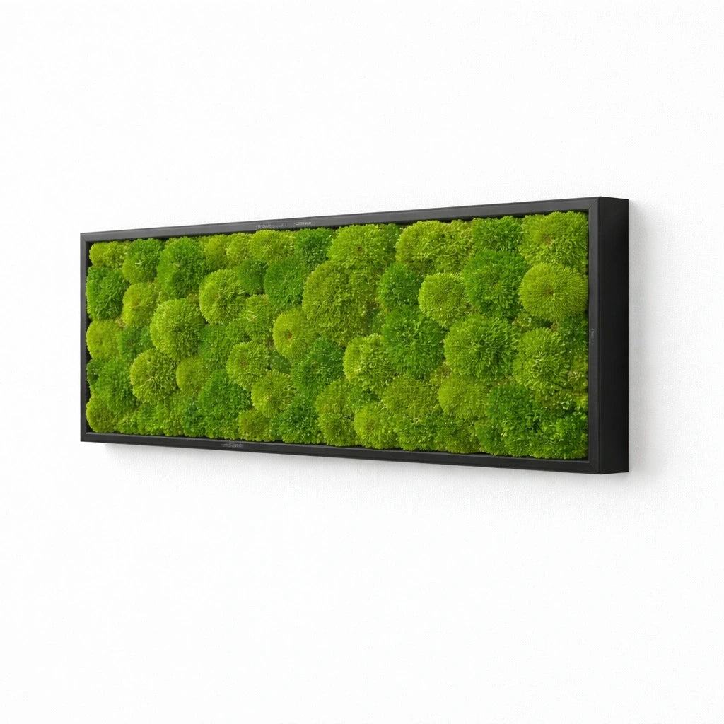Tableau végétal naturel stabilisé 