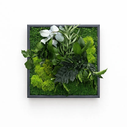 Tableau végétal naturel stabilisé 
