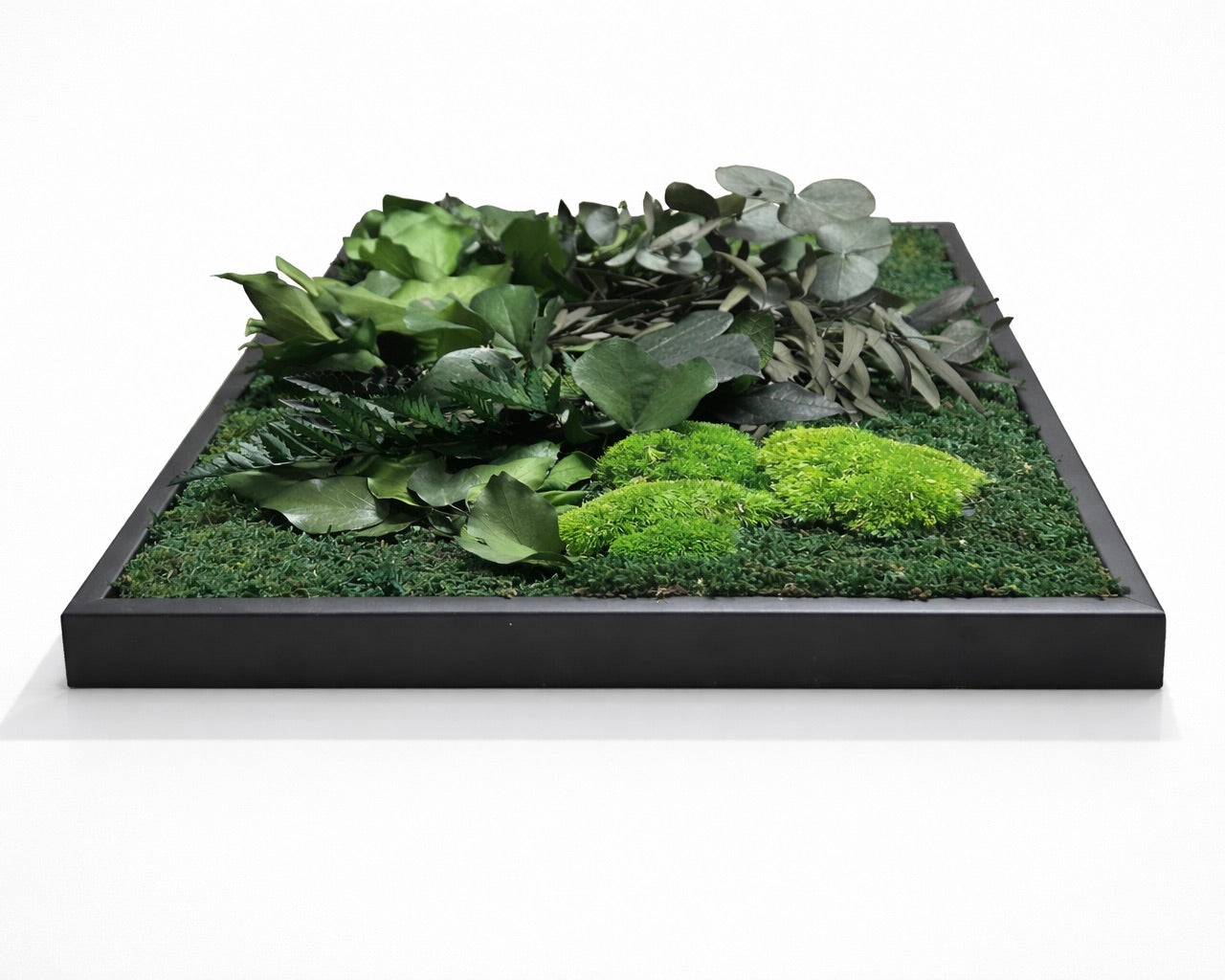 tableau végétal naturel stabilisé