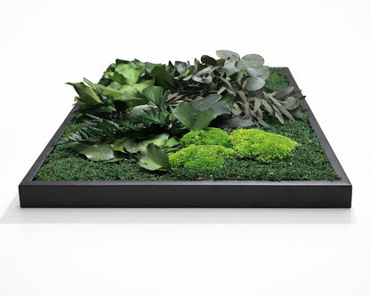 tableau végétal naturel stabilisé