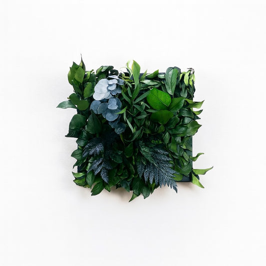 tableau végétal naturel stabilisé 