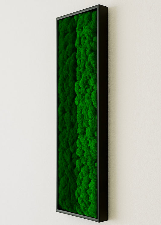 tableau végétal naturel stabilisé 