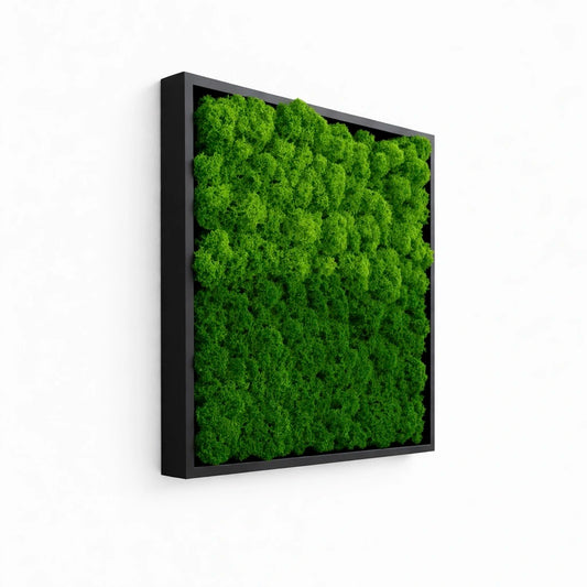 Tableau végétal naturel stabilisé