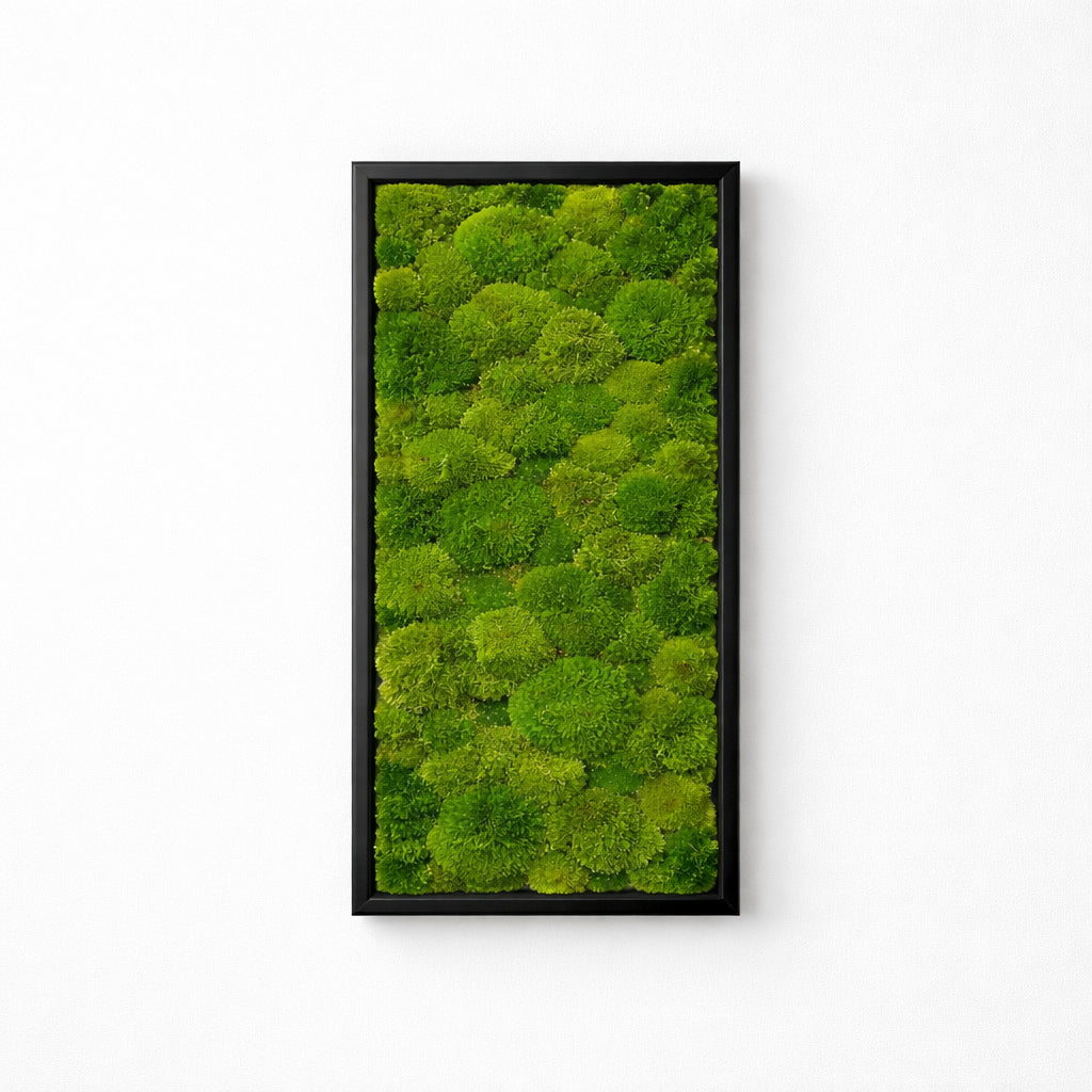 tableau végétal naturel stabilisé 