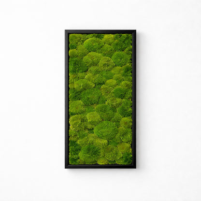 tableau végétal naturel stabilisé 
