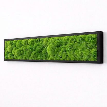 Tableau végétal naturel stabilisé 