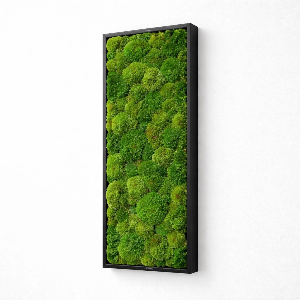 Tableau végétal naturel stabilisé 
