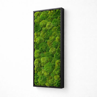 Tableau végétal naturel stabilisé 
