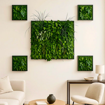 Tableaux murs intérieur décoration végétaux stabilisés 
