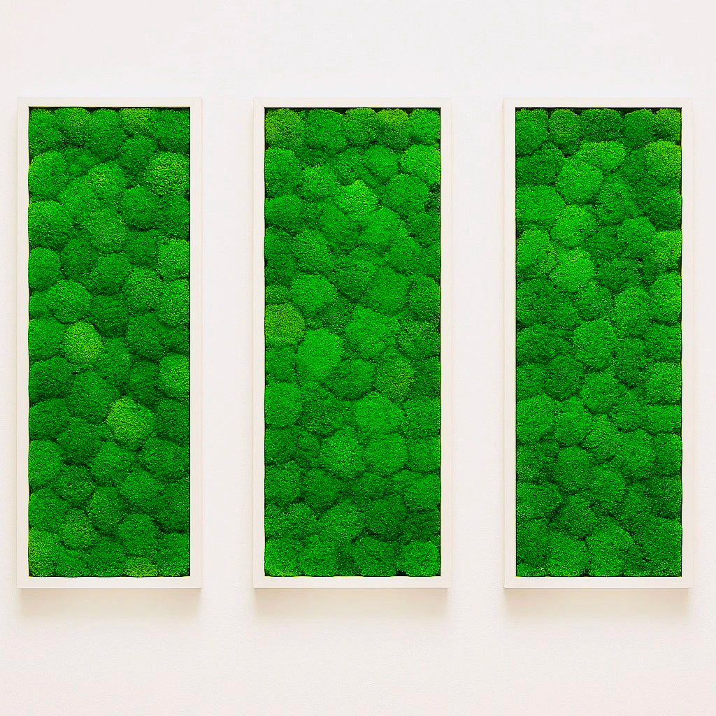 Tableaux murs intérieur décoration végétaux stabilisés 