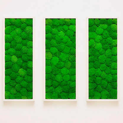 Tableaux murs intérieur décoration végétaux stabilisés 