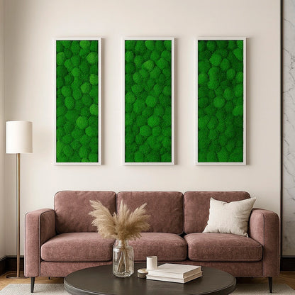 Tableaux murs intérieur décoration végétaux stabilisés 