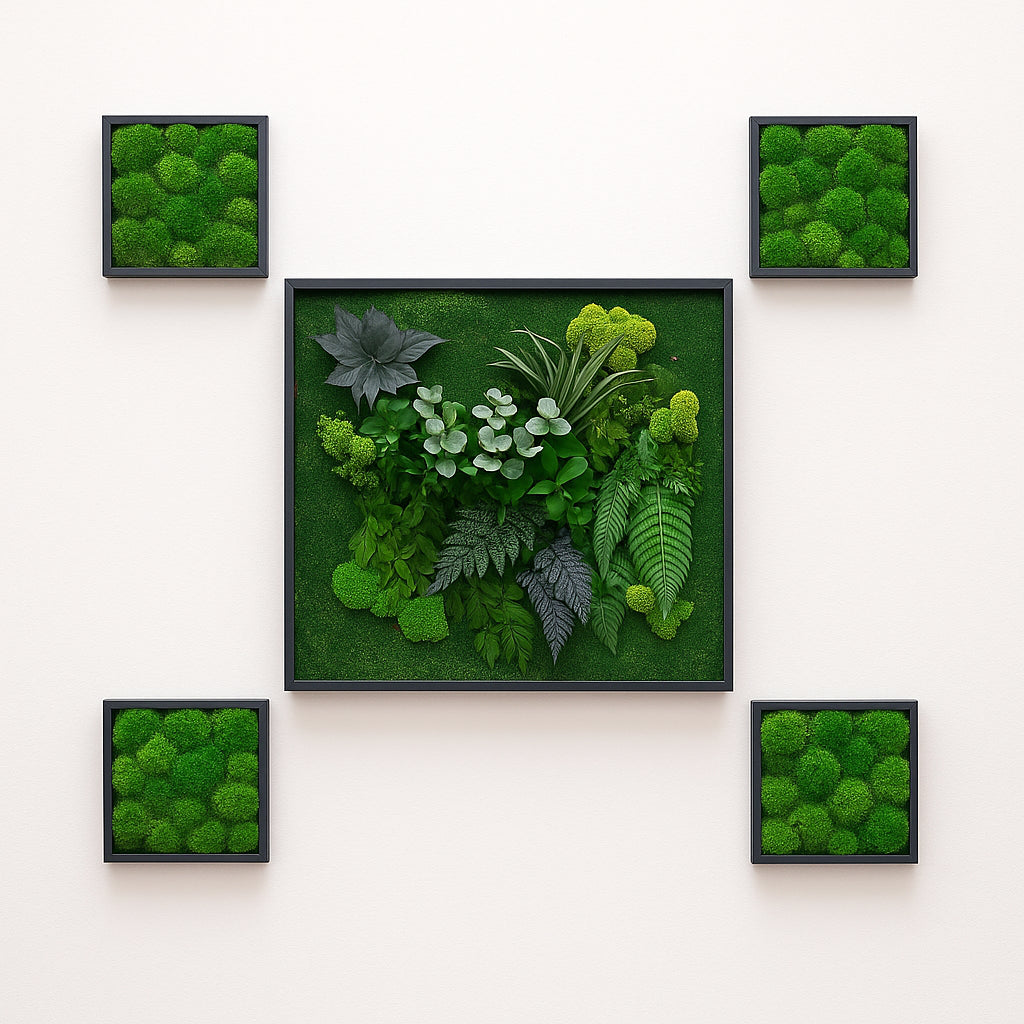 Tableaux murs intérieur décoration végétaux stabilisés 