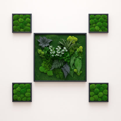 Tableaux murs intérieur décoration végétaux stabilisés 