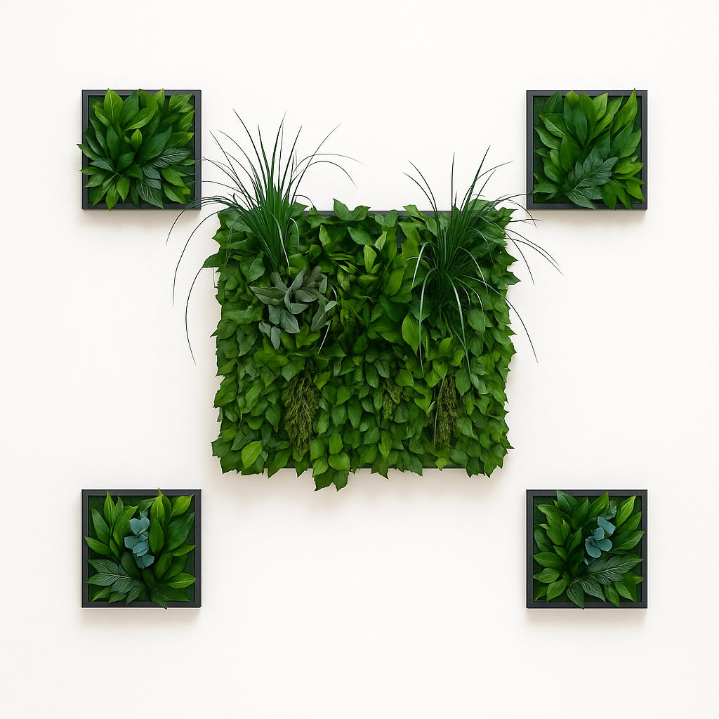 Tableaux murs intérieur décoration végétaux stabilisés 