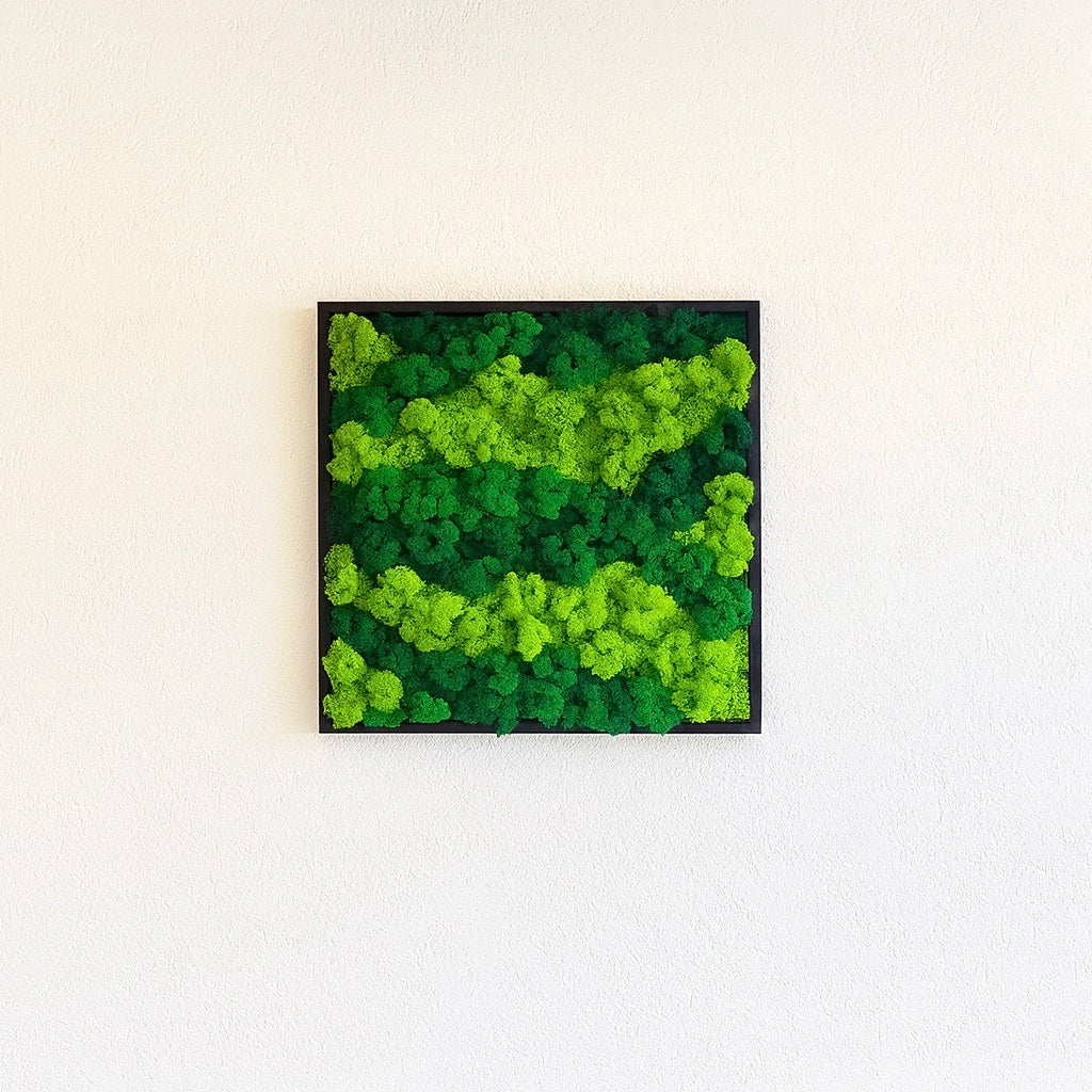 mur végétal tableau naturel stabilisé 