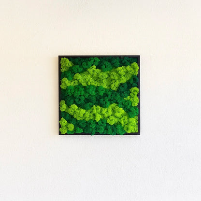 mur végétal tableau naturel stabilisé 