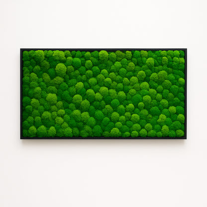végétaux Tableaux murs déco Intérieur 