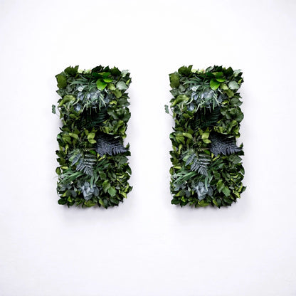 tableaux végétaux naturels stabilisés 