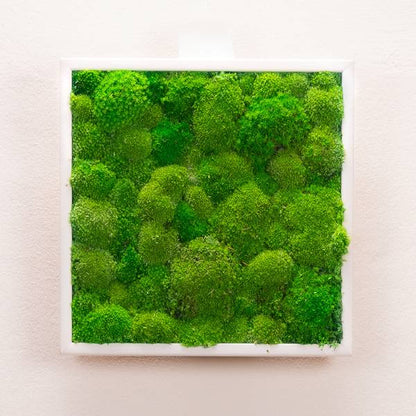 Tableau Bubble 35x35