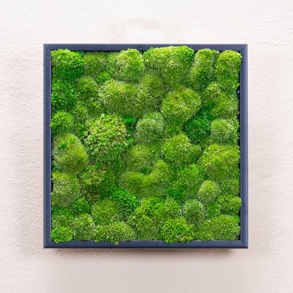 Tableau Bubble 35x35