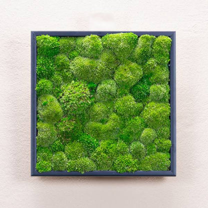 Tableau Bubble 35x35