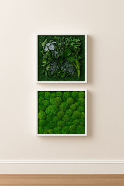 stabilisé végétal tableau déco