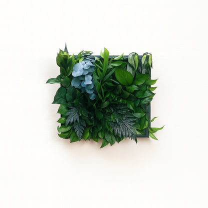 Tableaux murs intérieur décoration végétaux stabilisés 