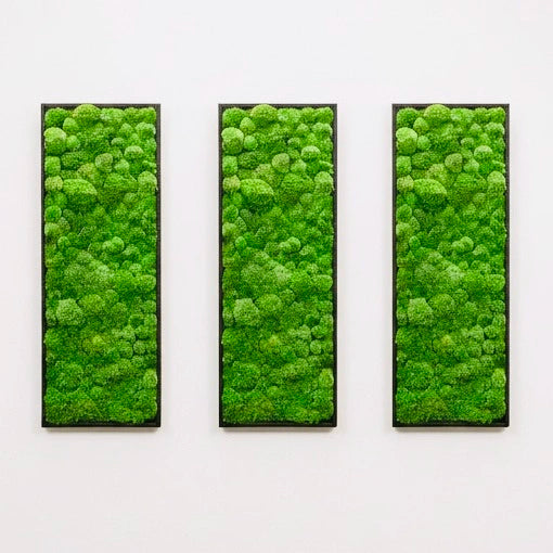 design décoration intérieur tableaux murs végétal stabilisé