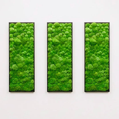 design décoration intérieur tableaux murs végétal stabilisé