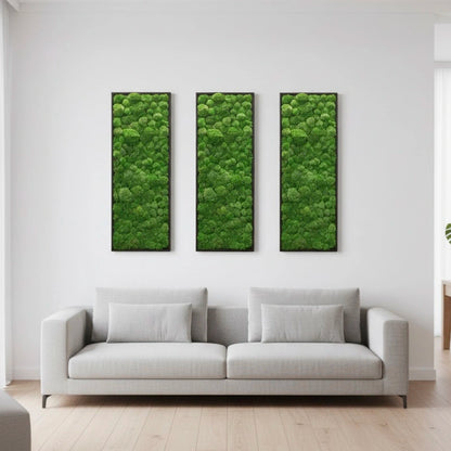 design décoration intérieur tableaux murs végétal stabilisé
