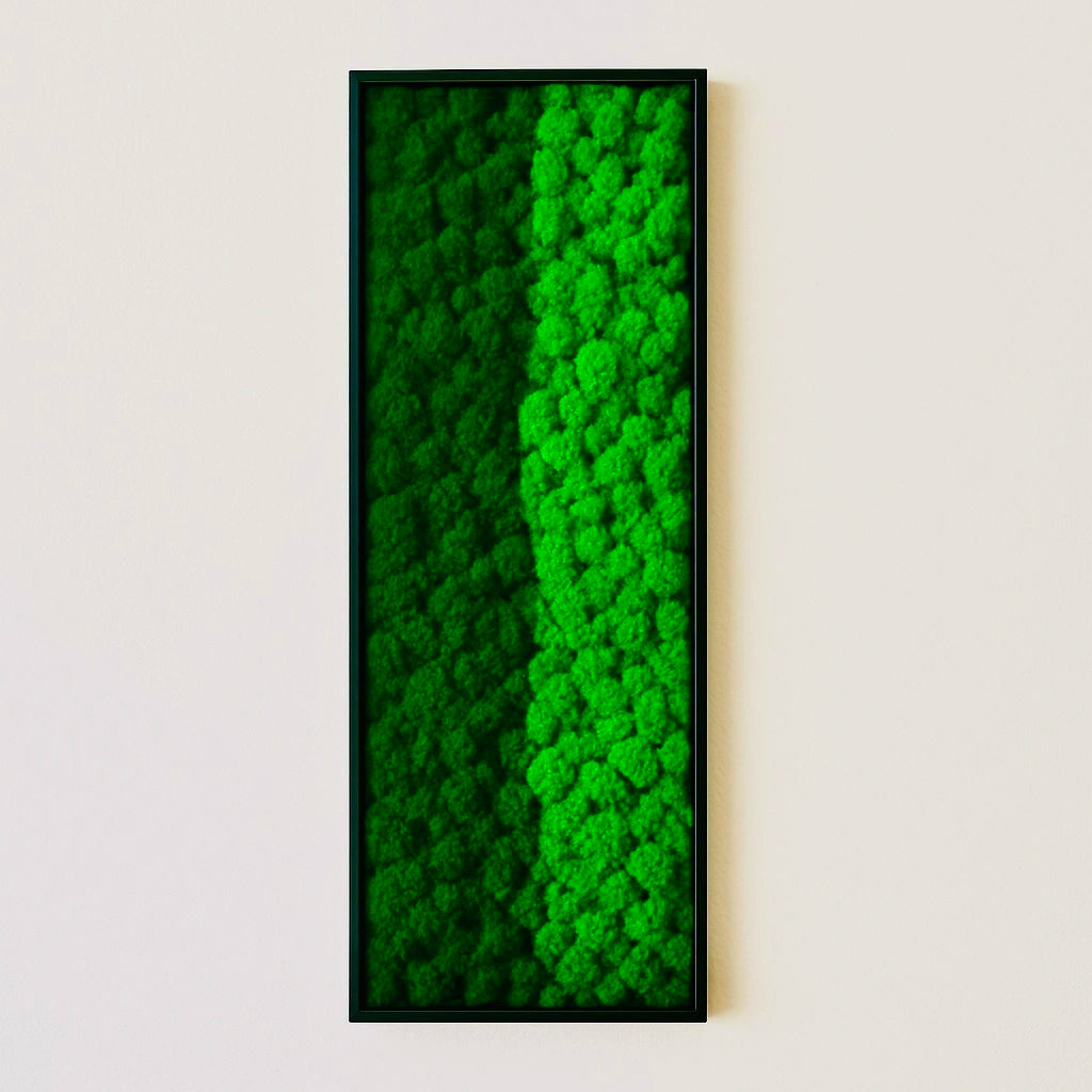 design tableaux végétaux stabilisés murs décoration intérieur 