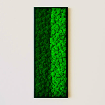 design tableaux végétaux stabilisés murs décoration intérieur 