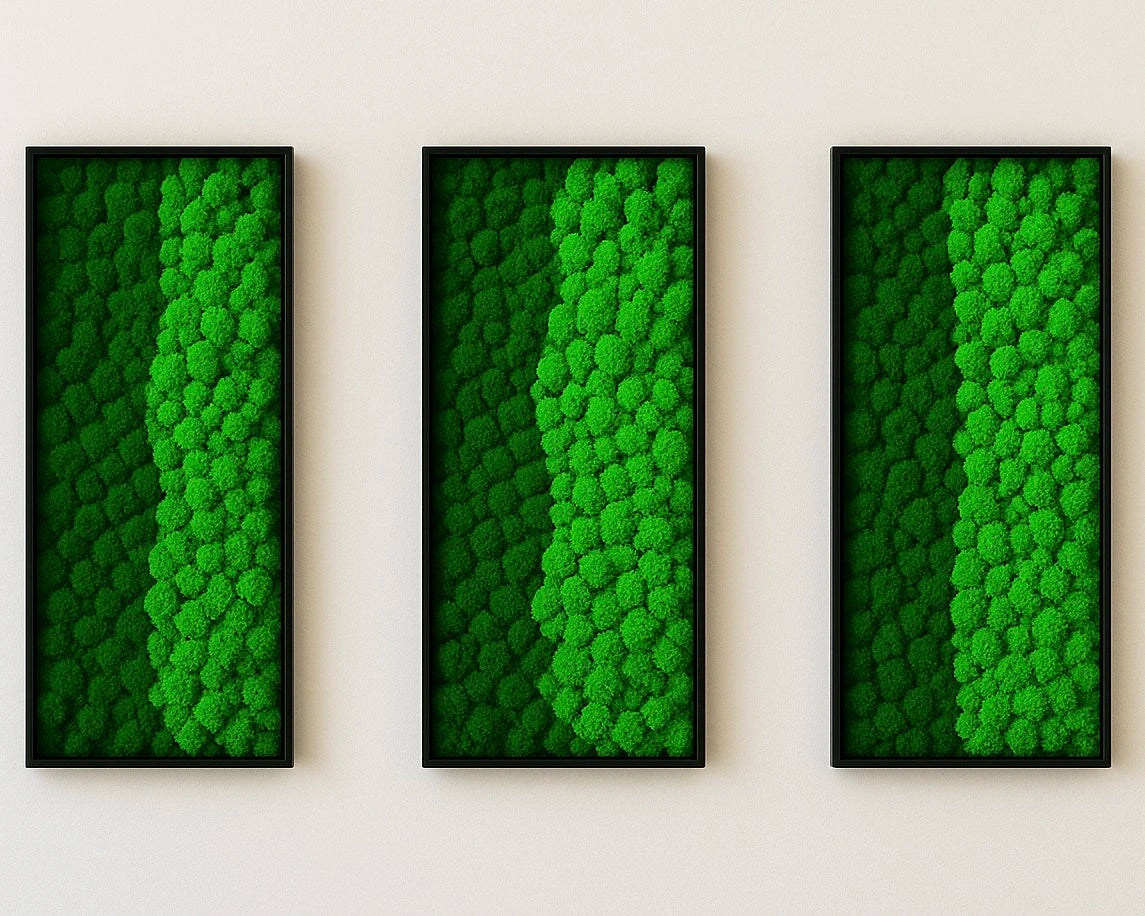 design tableaux végétaux stabilisés murs décoration intérieur 