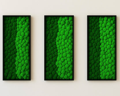 design tableaux végétaux stabilisés murs décoration intérieur 