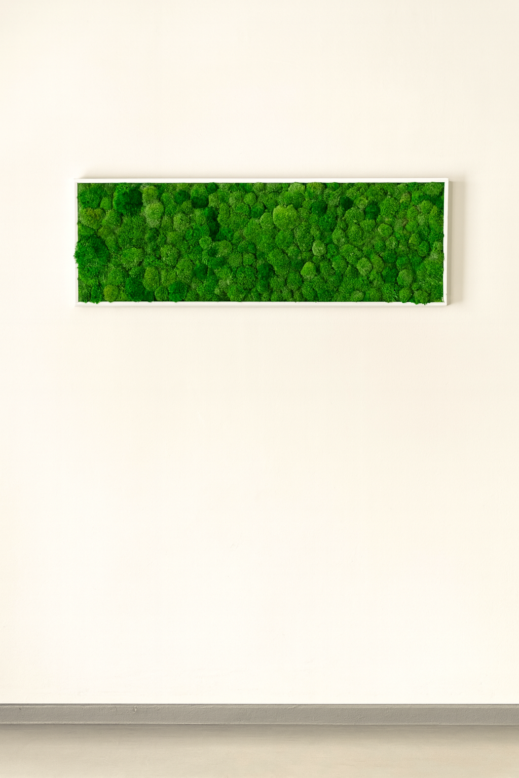 stabilisé végétal tableau mur