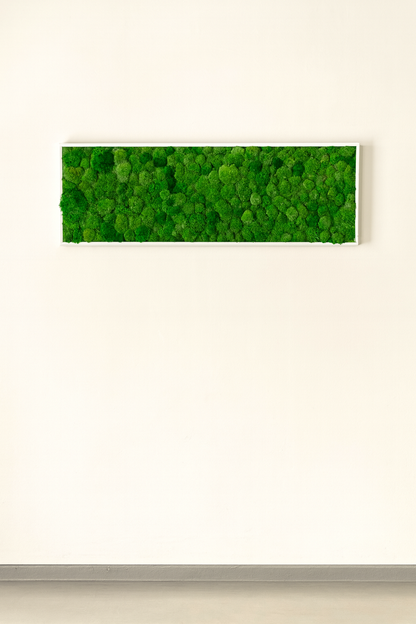 stabilisé végétal tableau mur