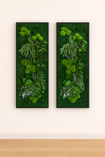 stabilisés végétaux tableaux murs