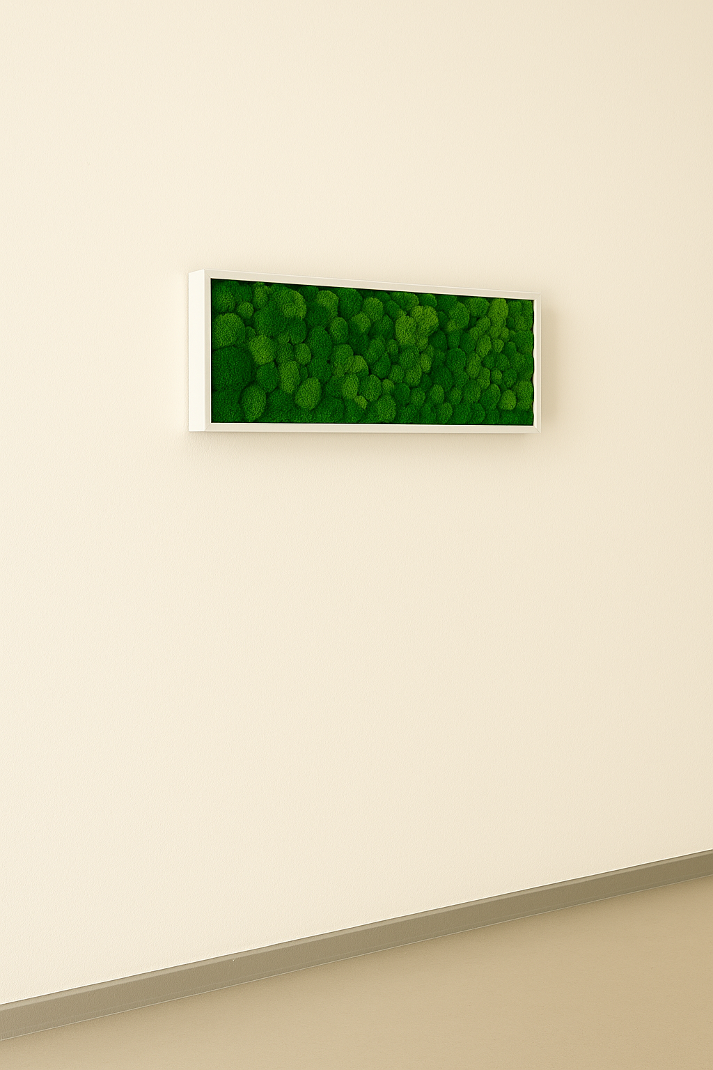 stabilisés végétaux tableaux murs