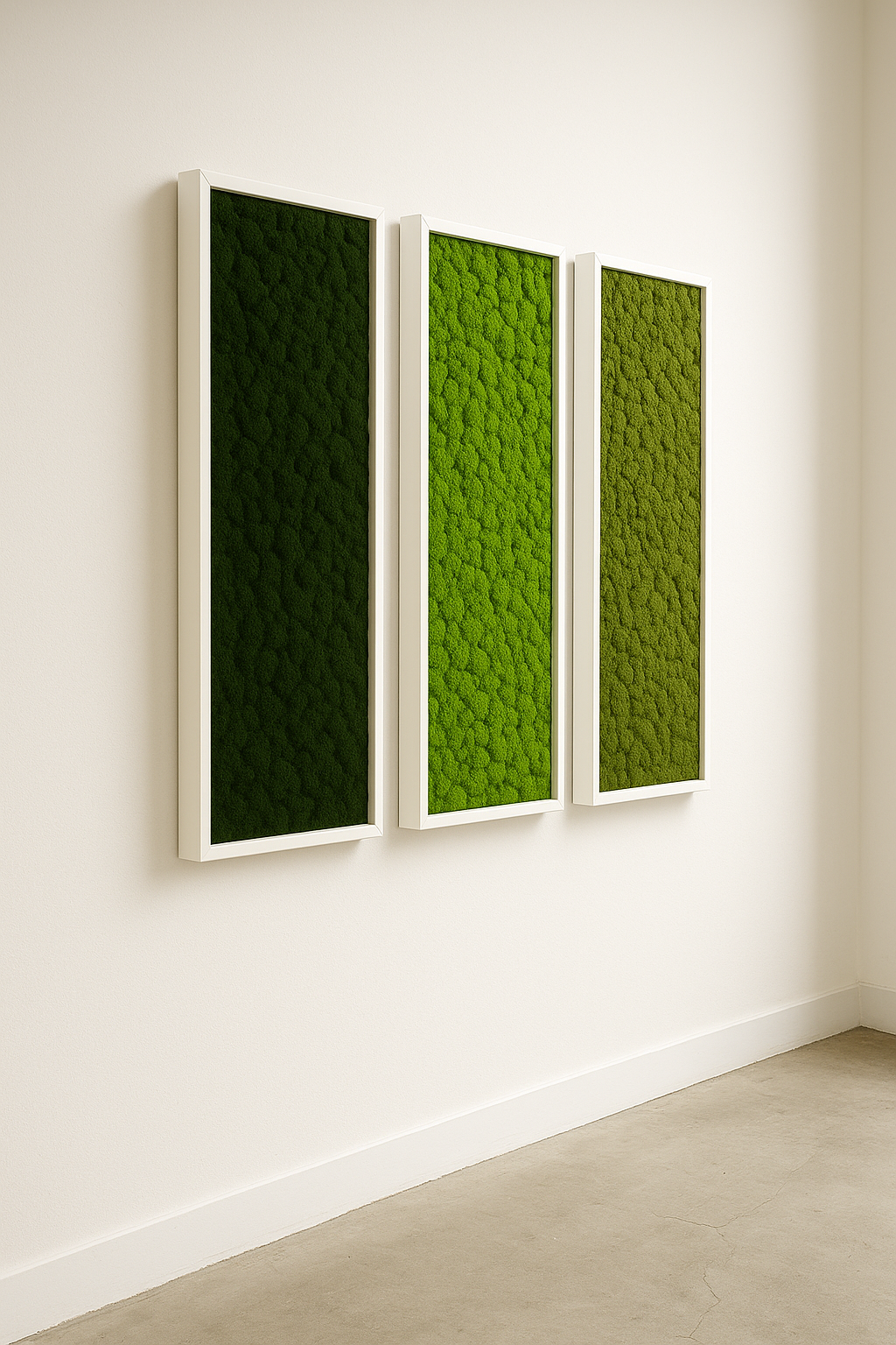 tableaux stabilisés végétaux murs