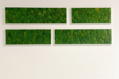 stabilis_d_co_tableau_v_g_tal