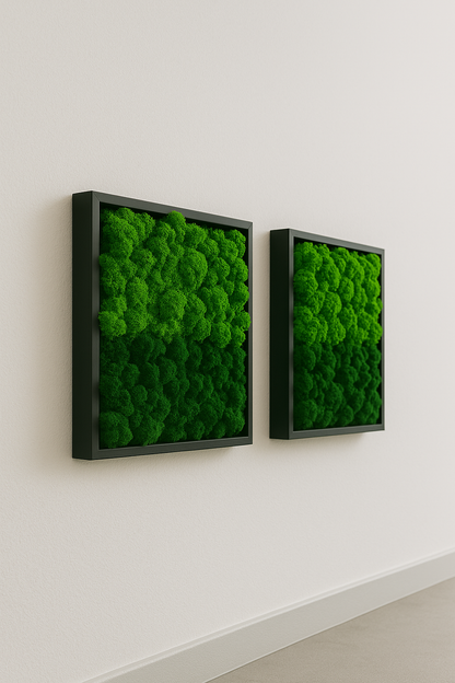tableau végétal décoration stabilisé