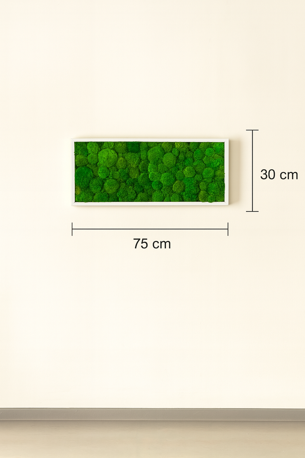 tableau végétal décoration stabilisé