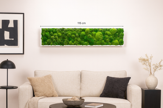 tableau végétal stabilisé 