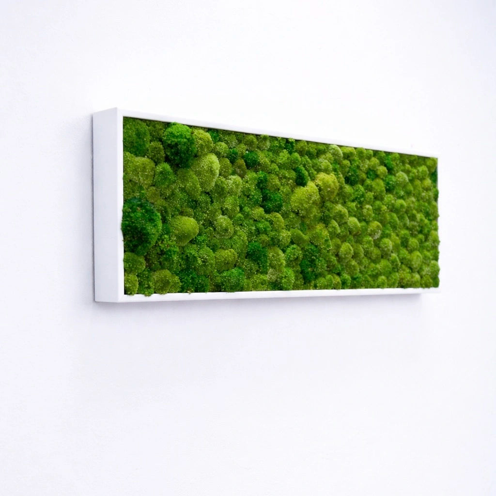 tableau végétal naturel stabilisé 