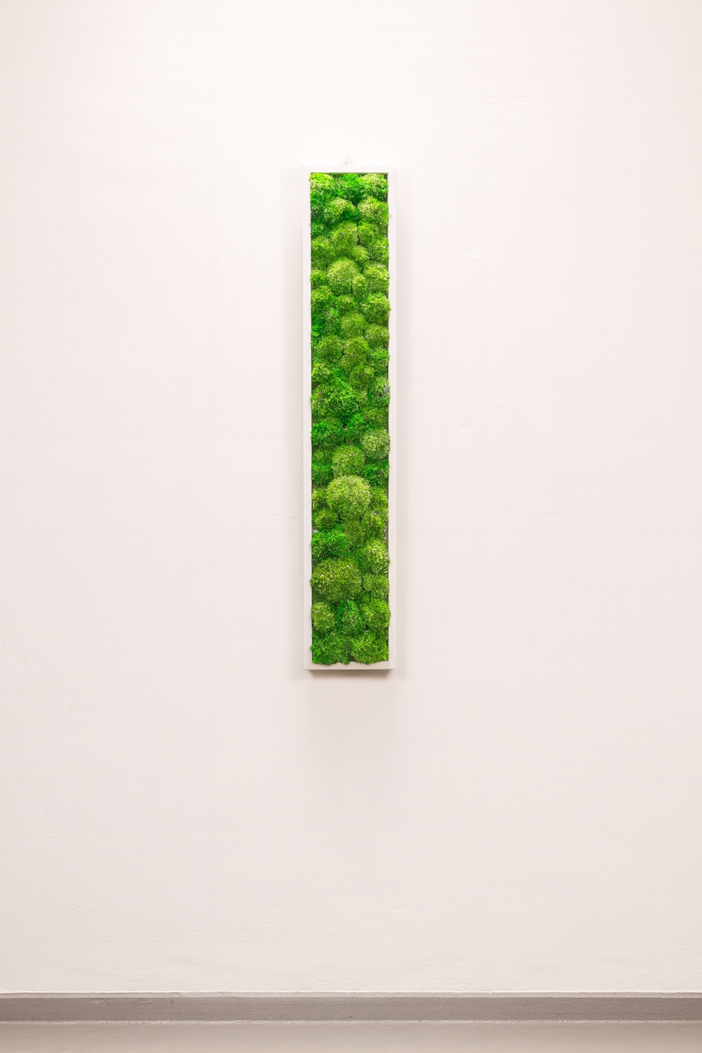 stabilisé mur végétal tableau