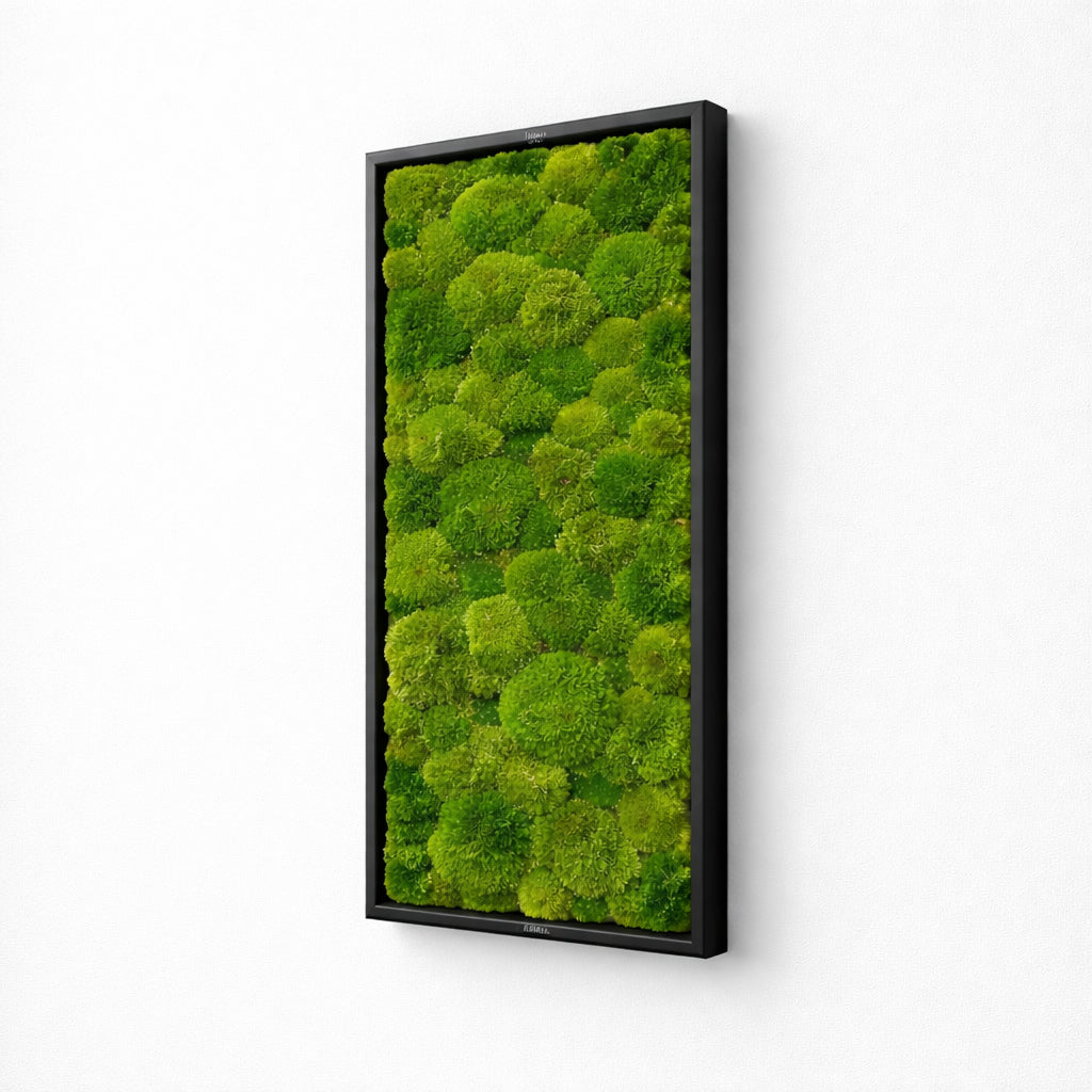 tableau végétal naturel stabilisé 