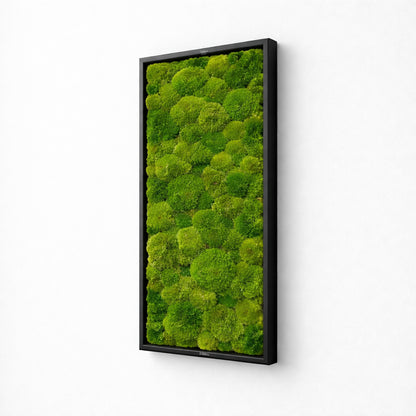 tableau végétal naturel stabilisé 