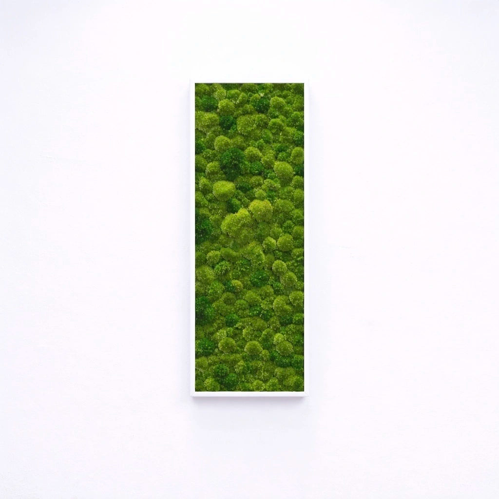 tableau végétal naturel stabilisé 